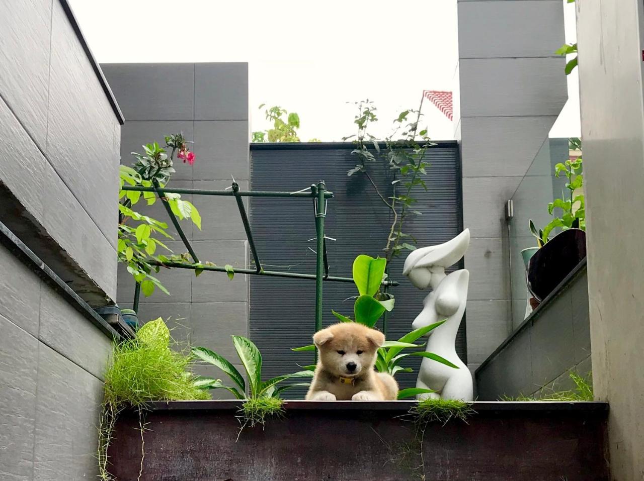 Greenwood Villa Saigon Ciudad Ho Chi Minh  Exterior foto